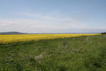 20130603 08